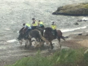 Thirsty Horses from Millom