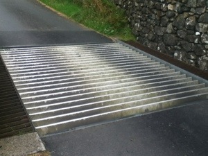 Cattle Grid