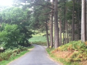 Red Squirrel country