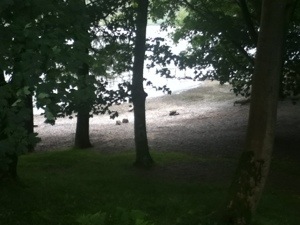 A great spot for a campfire