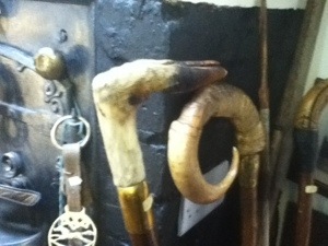 Animal walking sticks