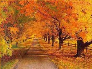 Autumn