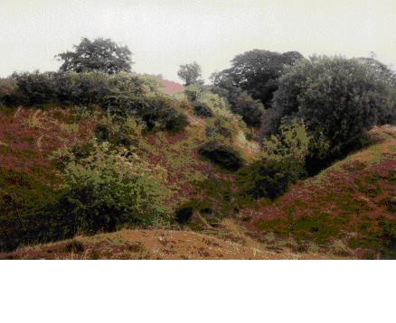 Liddell Strength Castle