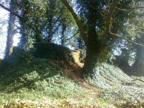 Pillbox from the other side