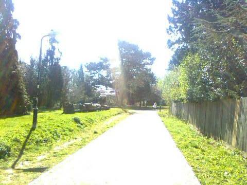 Leavesden Country Park