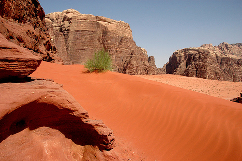 Beautiful Wadi Rum