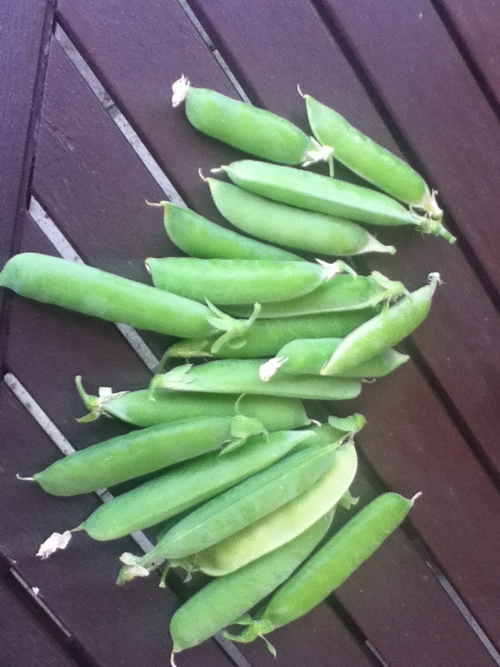 Pea pods