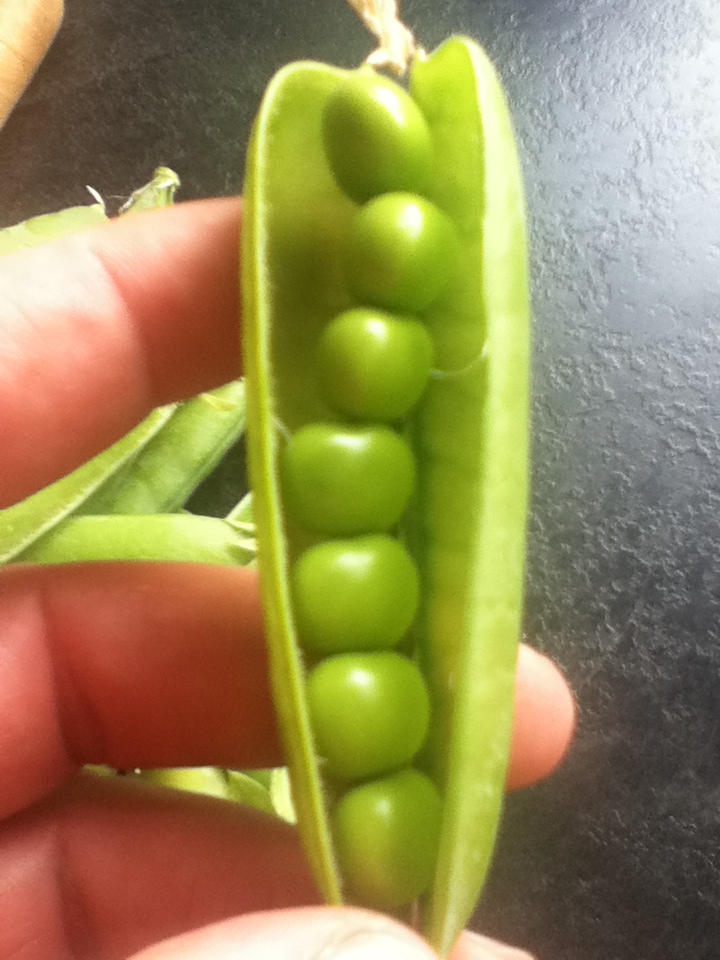 Peas
