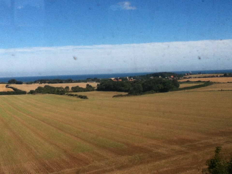 Dashing through the fields to the sea