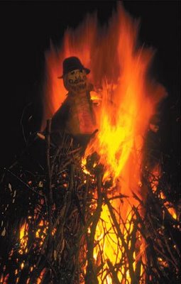 Poor Guy being roasted on the bonfire