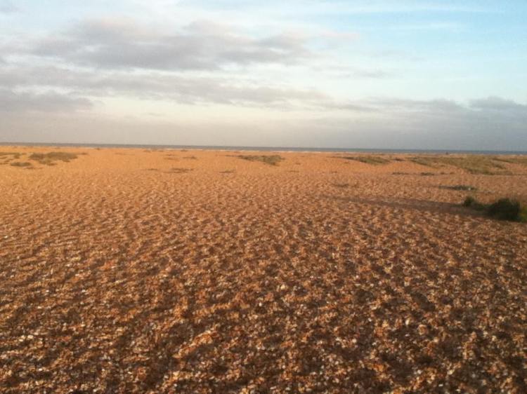 Dungeness Desert