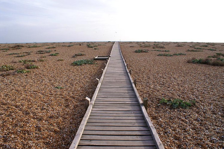 Dungeness Boardwalk