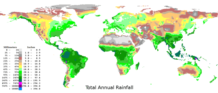World Rainfall Map