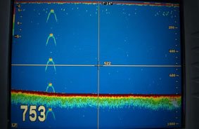 New Son Loch Ness Monster