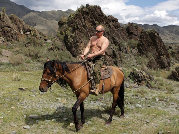 Topless Putin