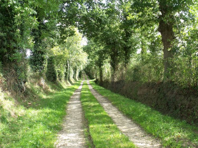 A quiet lane near La Cresperie
