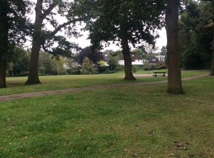 View from the playground path