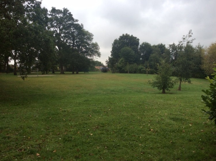 A great spot for frisbee and games.  That little hill was a lot bigger for 8 year olds in the summer sun.