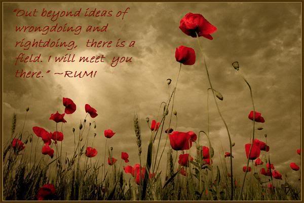 Will you meet with Rumi one day?