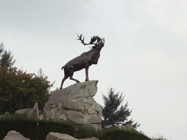 Newfoundland Memorial