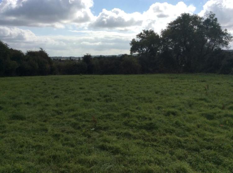 X doesn't mark the spot