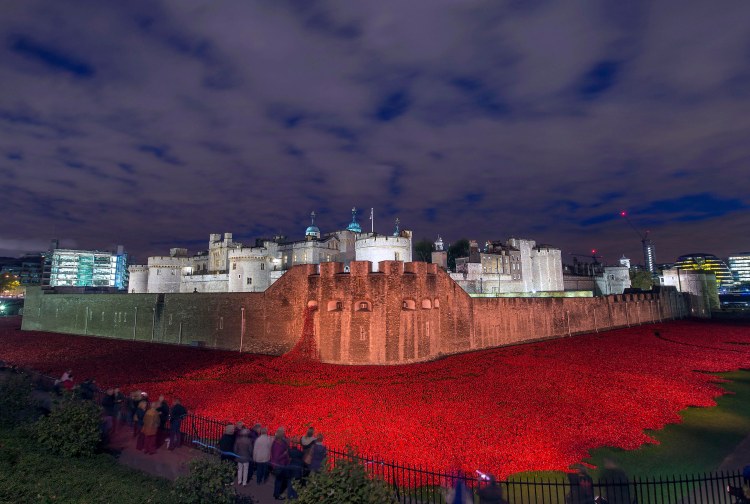 Tower of London Poppies
