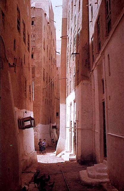 The road less travelled.