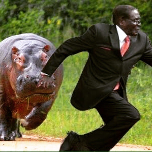 Mugabe Falls