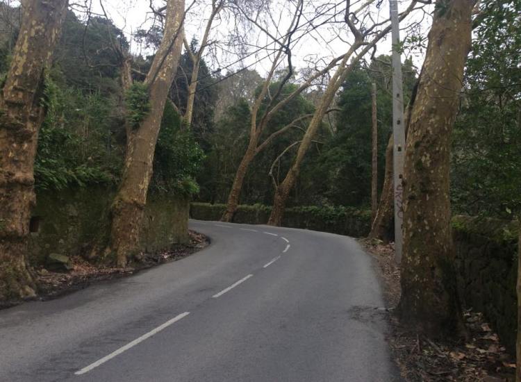 The road out of Sintra