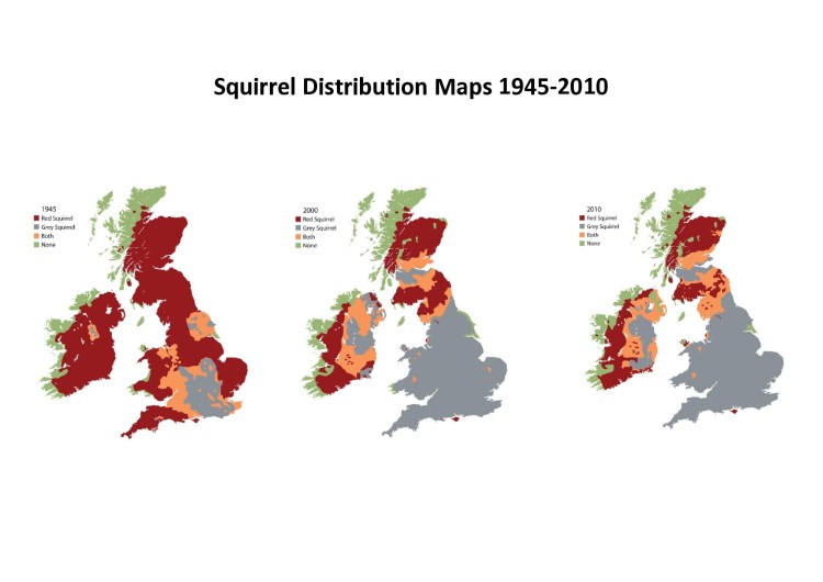 Map of Red Squirrels in the U.K.