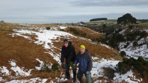 Tree planting in the Pennines by volunteers
