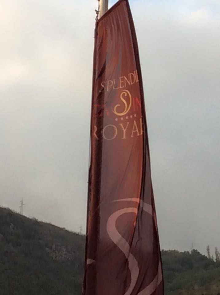 12219559_554821084671221_5485360047944725406_n