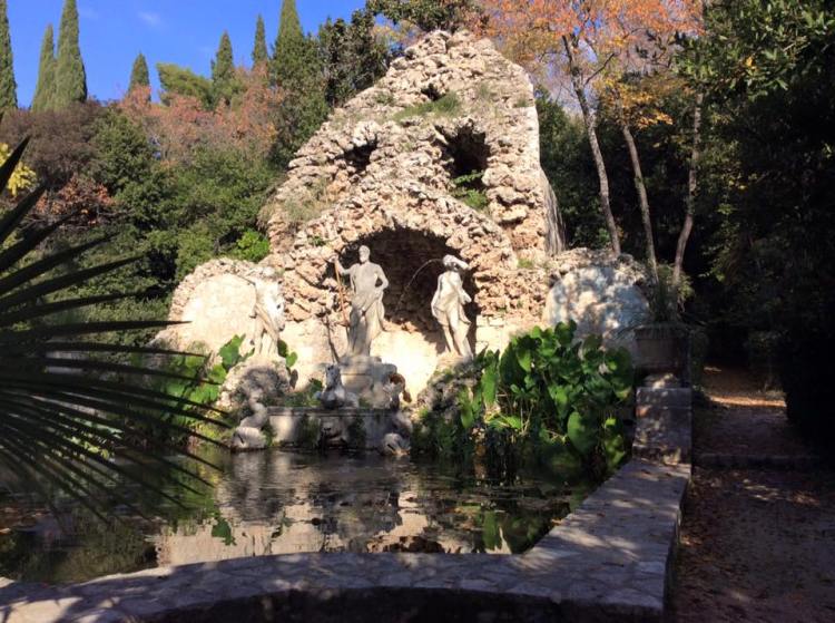 12239472_555054144647915_292457557805777340_n