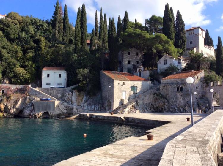 12239495_555052481314748_8902690997518438760_n