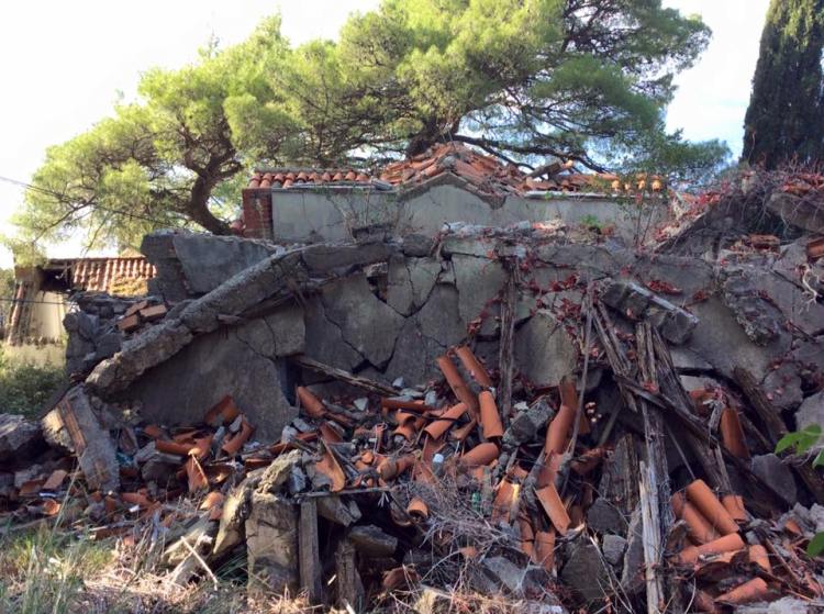 12243209_555052254648104_6211341254185126465_n