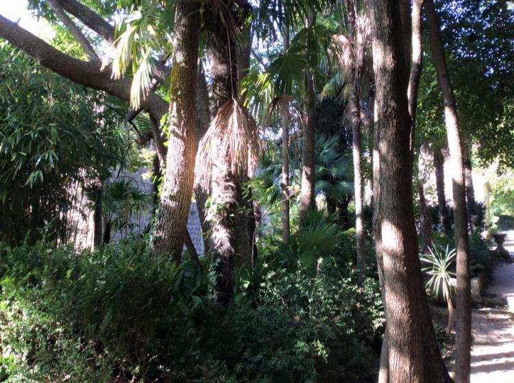 12243346_555052221314774_1496465810044869804_n