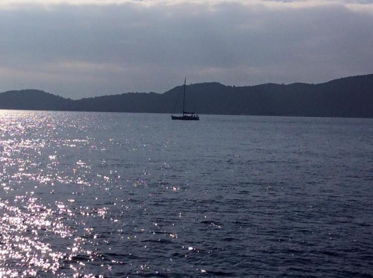 12243346_555052524648077_2721013863879023128_n