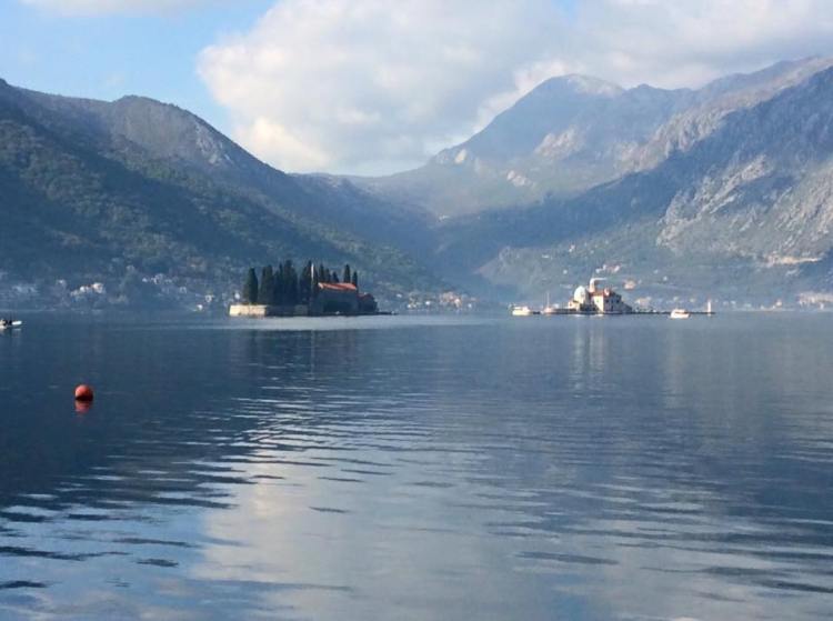 12249580_554814004671929_2737173868128162136_n