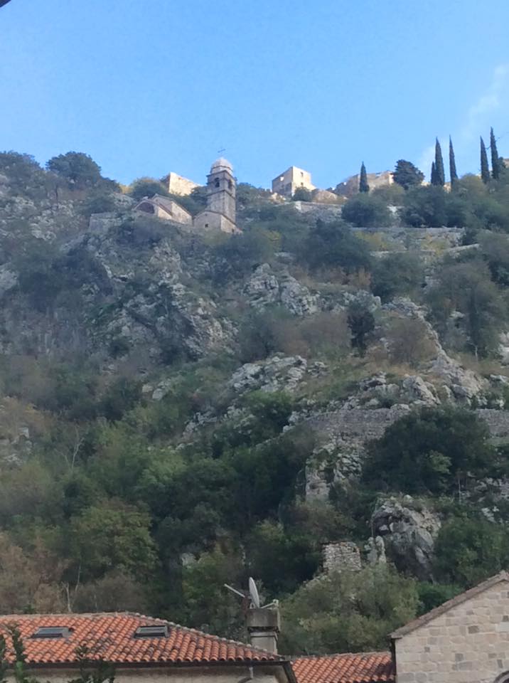 12249593_554818724671457_7067362303257257198_n