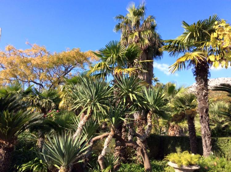 12249828_555054004647929_4365149142352985388_n