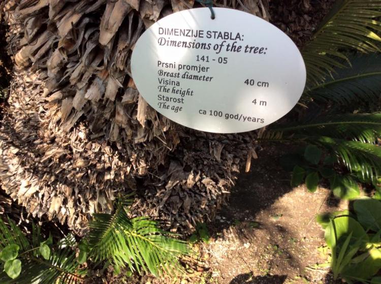 12274186_555054027981260_4160001184890577738_n