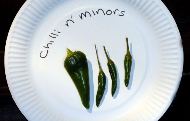 article-1290718674334-0c3bbe07000005dc-400511_636x406