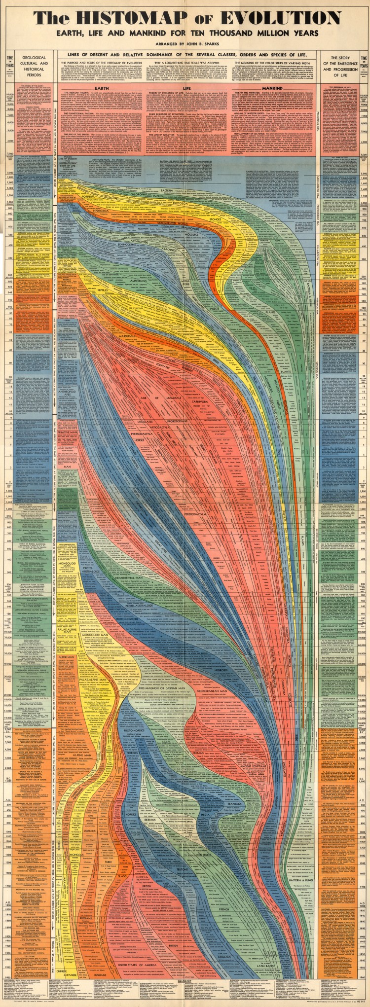 Histomap of Evolution.jpg