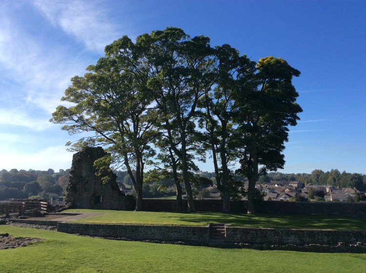 Mature trees on top of the battlements