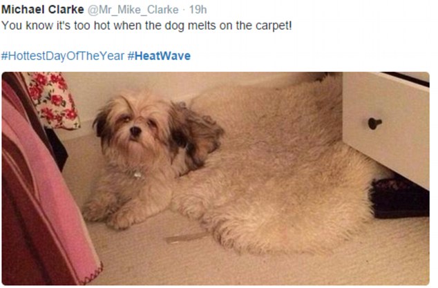 2A2C65EE00000578-3147226-image-m-68_1435850297809