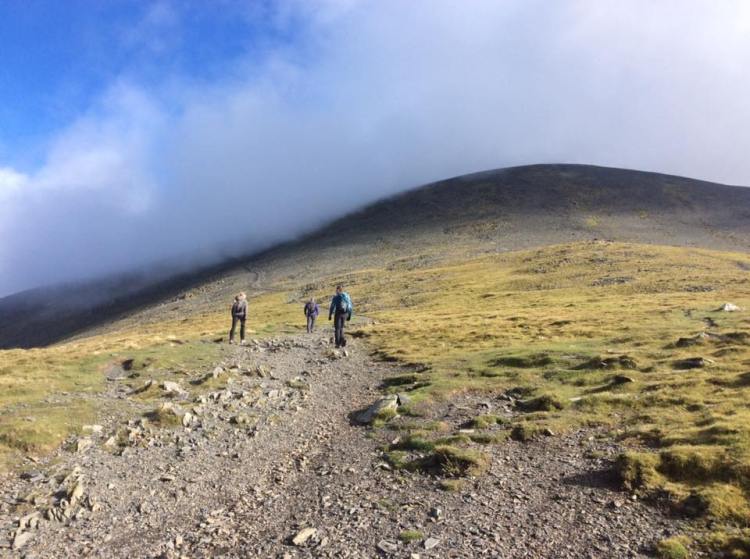 It was nice to know I wasn't totally on my own at this highly asthmatic moment.