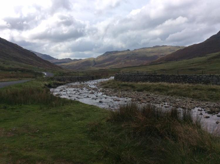 Just me and my thoughts