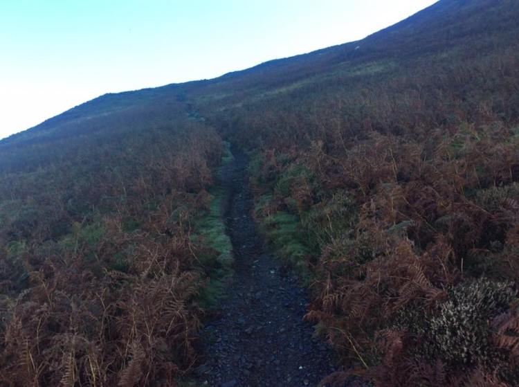 Just myself and the odd hardy sheep in the hour after dawn.