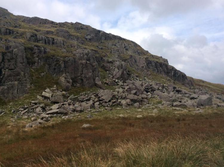 14517640_695702903916371_311355238813478665_n