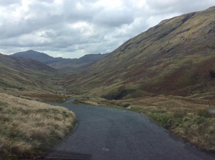 14572219_695702433916418_4922287629137790854_n